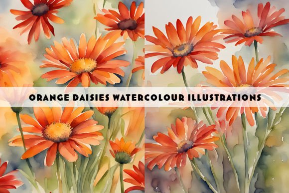 Orange Daisies Watercolour Duo: A Fresh Take on Floral Design