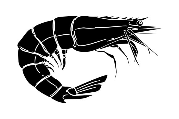 Shrimp Vector Design Solid Color: A Seafood Asset for Your Brand